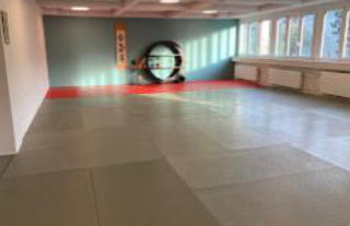 Cours de Qi Gong � Lausanne dans le dojo d'A�kido