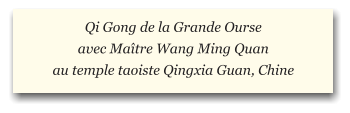 Qi Gong de la Grande Ourse avec Ma�tre Wang Ming Quan  au temple taoiste Qingxia Guan, Chine