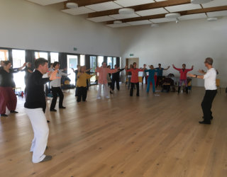 Stage d'initiation � l'onde du dragon  avec Thierry Doctrinal � Ming Shan 2021